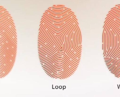 vân tay chủng loop - vân tay chủng nước