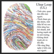 Chủng vân tay UL (Ulnar Loop): Mềm mại và mạnh mẽ
