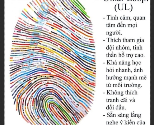 Chủng vân tay UL (Ulnar Loop): Mềm mại và mạnh mẽ