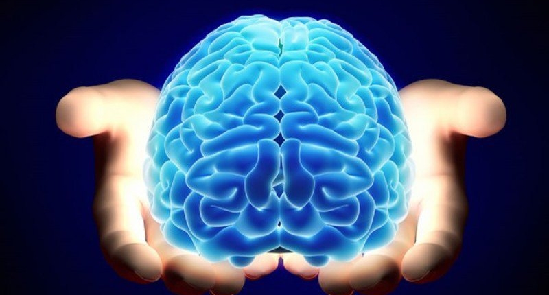 chỉ số bán cầu não Trái và Phải trong Sinh trắc vân tay 4