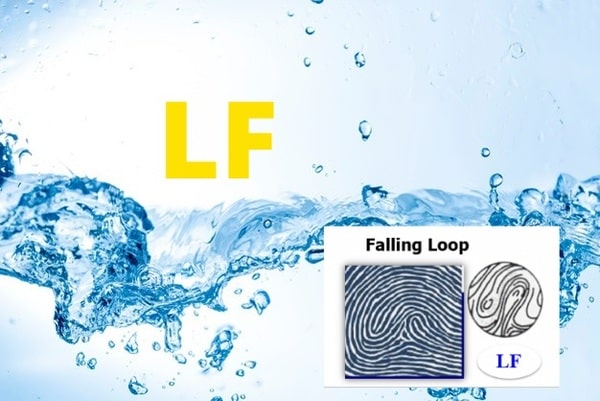 Đặc trưng nổi bật của người thuộc chủng vân tay Falling Loop (LF)