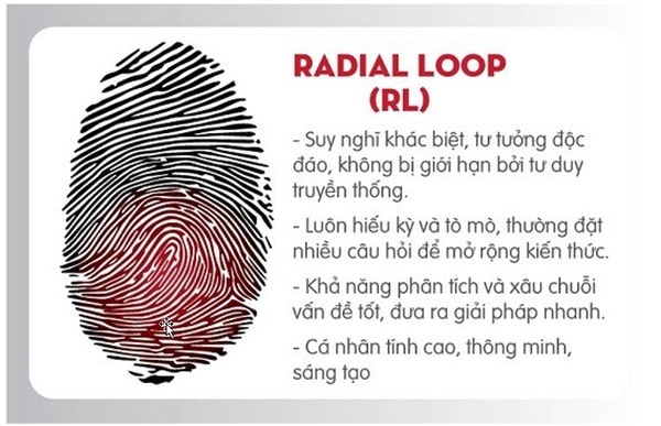 Tính cách người thuộc chủng vân tay nước Radial Loop(RL)