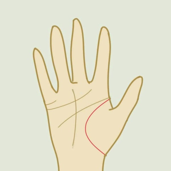 Đường sinh đạo là đường nối từ giữa ngón trỏ và ngón tay cái, quanh phần thịt ngón cái, uốn cong quanh ngón tay cái, kéo dài tới khi chạm cổ tay