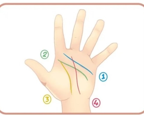 Tất tần tật về 4 đường chỉ tay đặc biệt "Hiếm Có Khó Tìm"