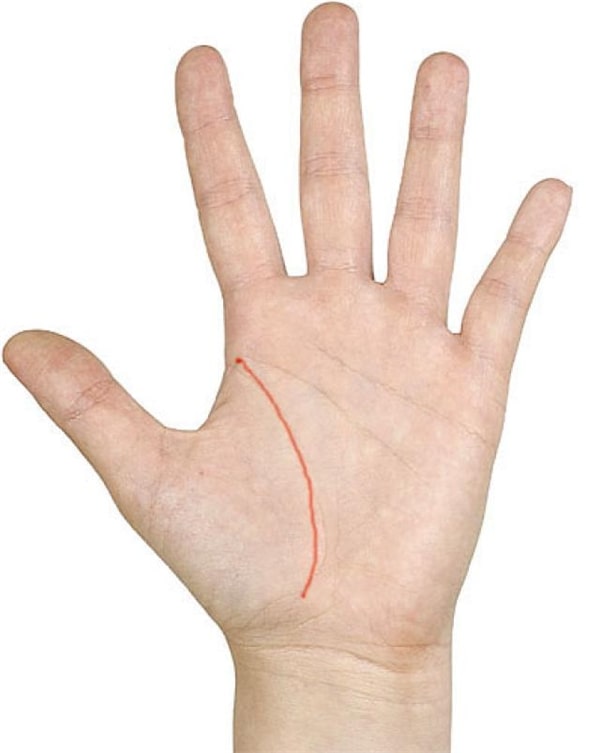 Đường sinh mệnh thường kéo dài từ mép bàn tay cong dần xuống cổ tay