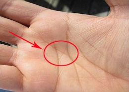 Khám phá những điều thú vị về chỉ tay chữ M mà bạn chưa biết