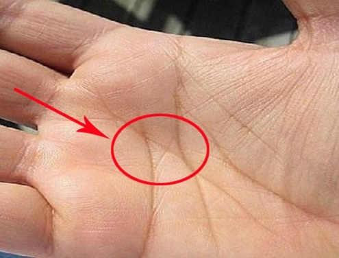 Khám phá những điều thú vị về chỉ tay chữ M mà bạn chưa biết