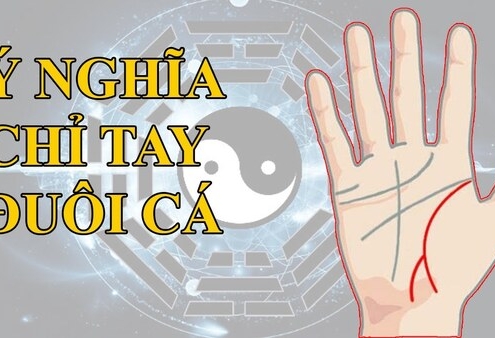 Tất tần tật về vận mệnh của người sở hữu chỉ tay đuôi cá