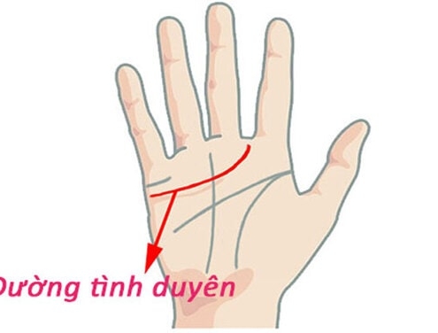 Giải Mã Chỉ Tay Đường Tình Duyên Đoán Biết Hạnh Phúc Hay Lận Đận