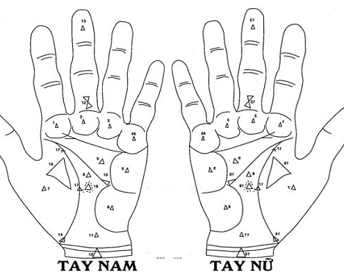 Chỉ Tay Hình Tam Giác Có Ý Nghĩa Gì? Cùng Khám Phá Ngay!