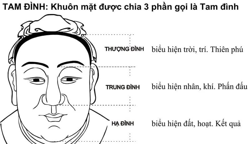 y-nghia-cua-nhan-tuong-hoc-trong-doi-song-cua-con-nguoi-so-4.jpg