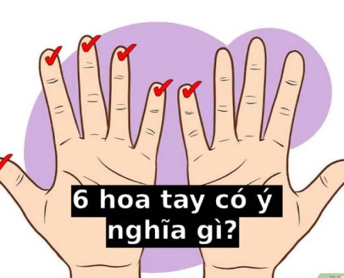 6 hoa tay có ý nghĩa gì