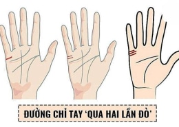 Đường chỉ tay 2 đời chồng