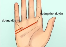 Đường chỉ tay đào hoa là gì? Ý nghĩa như thế nào?