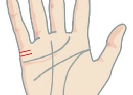 Đường chỉ tay hôn nhân viên mãn