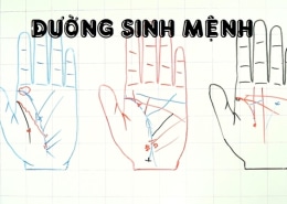 Đường chỉ tay sinh mệnh bị đứt đoạn có ý nghĩa gì? Cách khắc phục như thế nào?