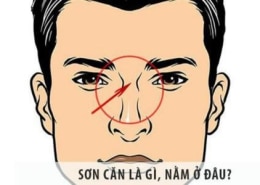 Sơn căn trong Nhân tướng học