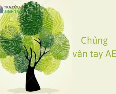 Chủng vân tay AE (Chủng vân núi): Người tài năng và trách nhiệm