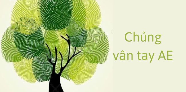 Chủng vân tay AE (Chủng vân núi): Người tài năng và trách nhiệm