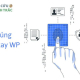 Chủng vân tay WP - Chủng vân tay hiếm có trên thế giới