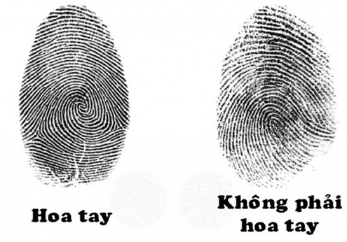 Hoa tay là gì? Ý nghĩa về tính cách, vận mệnh, tình duyên qua từng dấu hoa tay
