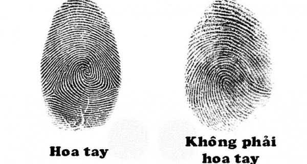 Hoa tay là gì? Ý nghĩa về tính cách, vận mệnh, tình duyên qua từng dấu hoa tay